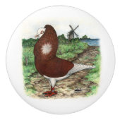 Alte Holländer Capuchine Taube Keramikknauf (Vorderseite)