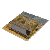 Alte hölzerne Scheune mit Herbst tamaracks nahe Fliese (Seite)