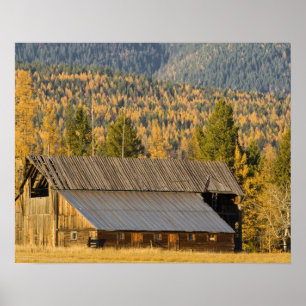 Alte Holzhütte mit herbstlichen Manikürchen in der Poster