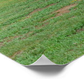 Alte Holzkabine Poster (Ecke)