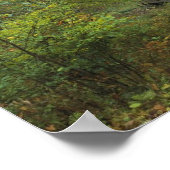 Alte Holzkabine Poster (Ecke)