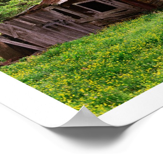 Alte Holzkabine Poster (Ecke)