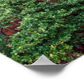 Alte Holztür Poster (Ecke)