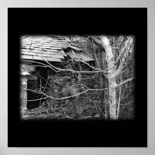 Alte Hütte und Baum. Schwarz und Weiß. Poster (Vorne)