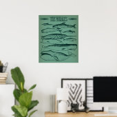 Alte Illustration von Walen Poster (Heimbüro)