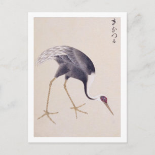 Alte Illustration: Weißnackenkranich Postkarte