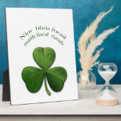 Alte irische Redewendungen über irische Entwurfspr Fotoplatte (Seite)