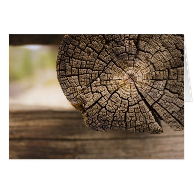 Alte Kabine Holz Texturen (Vorderseite (Horizontal))