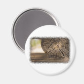 Alte Kabine Holz Texturen Magnet (Vorderseite/Rückseite)