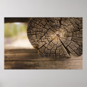 Alte Kabine Textur Poster (Vorne)