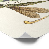 Alte Kalligrafie Poster (Ecke)