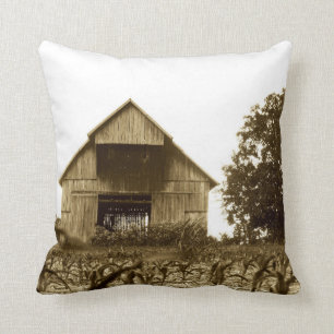 Alte Kentucky-Scheune Kissen