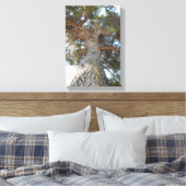 Alte Kiefer Leinwanddruck (Insitu (Schlafzimmer))
