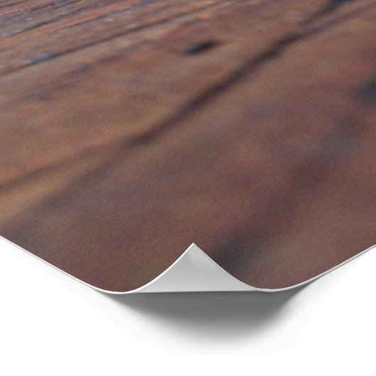 Alte Kirchtüren in Detroit Poster (Ecke)