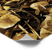 Alte klassische Autoscheinwerfer Poster (Ecke)