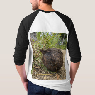 Alte Kokosnuss T-Shirt