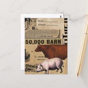 Alte Kuh- und Schweinecollage Postkarte