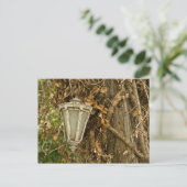 Alte Lampe auf Baum Postkarte (Stehend Vorderseite)