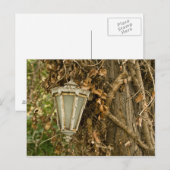 Alte Lampe auf Baum Postkarte (Vorne/Hinten)