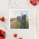 Alte Landpostbriefkasten mit Prunkwinden Serviette (Beispiel)
