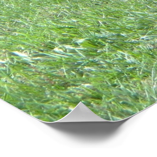 Alte landwirtschaftliche Ausrüstung Poster (Ecke)