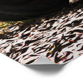 Alte LKW Fotografie Poster Art (Ecke)