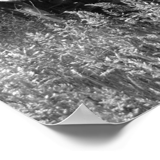 Alte LKW Junkyard Poster (Ecke)