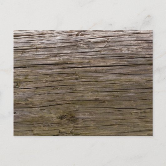 Alte Logstruktur Postkarte (Vorderseite)