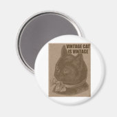 Alte LOLkatze Magnet (Vorderseite/Rückseite)