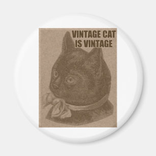 Alte LOLkatze Magnet
