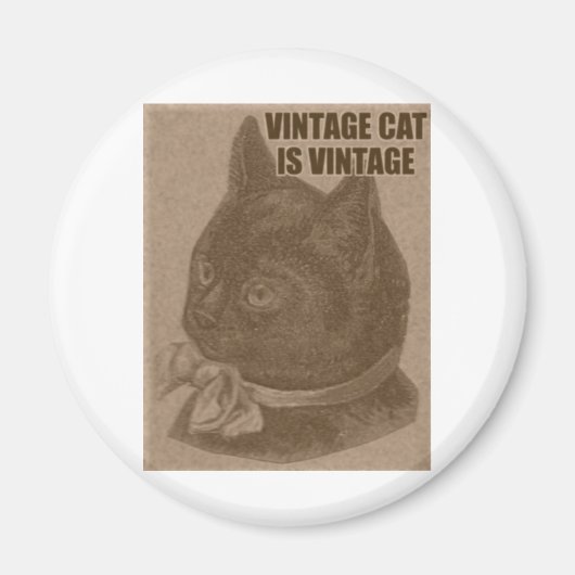 Alte LOLkatze Magnet (Vorne)