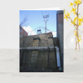 "Alte Mauer der Hamm-Brauerei" erhält gut Karte (Gelbe Blume)