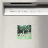 Alte Maya Ruins Copan N.W. Honduras Foto Magnet (In Situ (Geschirrspüler))