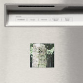 Alte Maya Ruins Foto Designed Square Magnet (In Situ (Geschirrspüler))