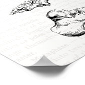 Alte medizinische Kunst menschliche Anatomie Knoch Poster (Ecke)