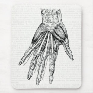 Alte medizinische Zeichnung Muskeln der Hand Mousepad