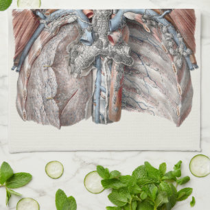 Alte menschliche Anatomie Kehle, Hals, Brust, Ripp Geschirrtuch
