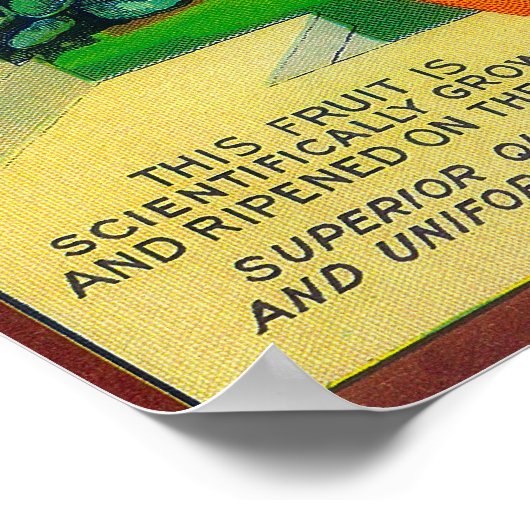 Alte Mission Orange LabelFullerton, CA Poster (Ecke)