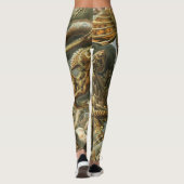 Alte Modeillustration Lacertilia Ernst Haeckels Leggings (Rückseite)
