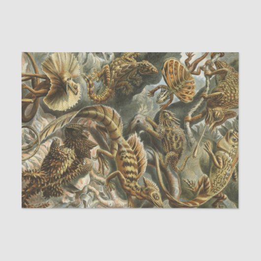 Alte Modeillustration Lacertilia Ernst Haeckels Seidenpapier (Vorderseite)