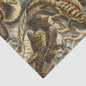 Alte Modeillustration Lacertilia Ernst Haeckels Seidenpapier (Ausschnitt)