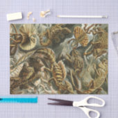 Alte Modeillustration Lacertilia Ernst Haeckels Seidenpapier (Handwerk)