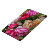 Alte modische Rose Magnet (Linke Seite)