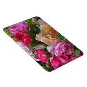 Alte modische Rose Magnet (Rechte Seite)