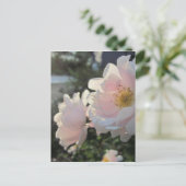 Alte modische Rose Postkarte (Stehend Vorderseite)