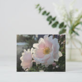 Alte modische Rose Postkarte (Stehend Vorderseite)