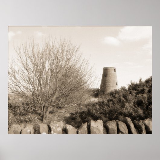 Alte Mühle mit Bäumen - Schottland Poster (Vorne)