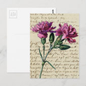alte Nelke Postkarte (Vorne/Hinten)