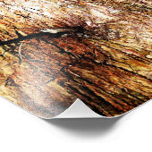 Alte Oak Tree Bark Fotodruck (Ecke)