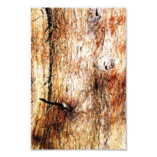 Alte Oak Tree Bark Fotodruck (Vorne)